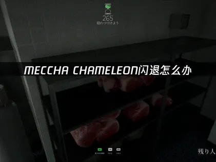 MECCHA CHAMELEON闪退排查与修复全攻略！