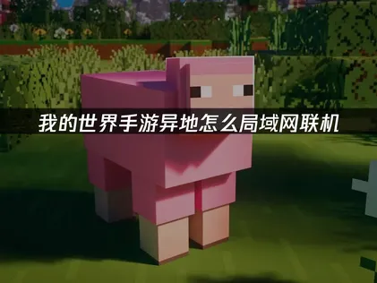 我的世界手遊跨地區區網連線怎麼做？一鍵搞定異地組網的麻煩！