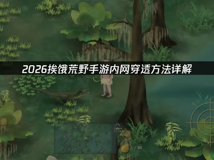 挨饿荒野手游内网穿透方法：轻松搞定内网穿透指南！