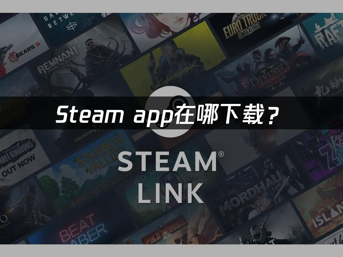 Steam app 封面图