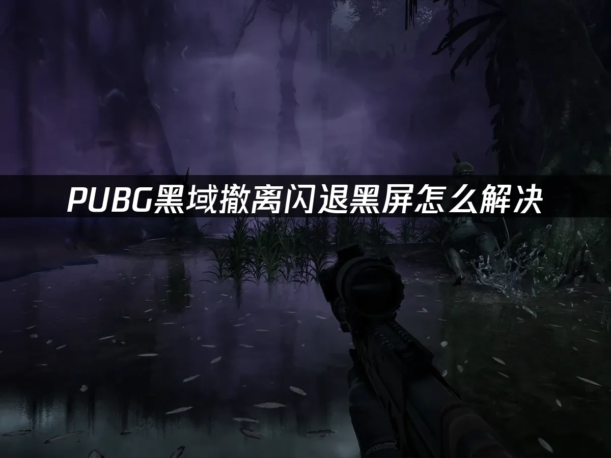 PUBG黑域撤离 封面图