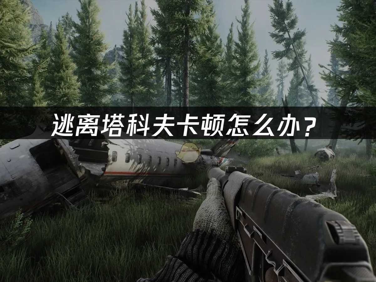 逃离塔科夫 封面图