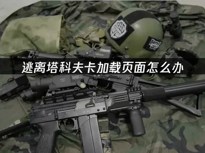 逃离塔科夫卡加载页面解决方案：告别卡顿流畅开局！