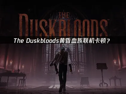 The Duskbloods黃昏血族加速器最佳化設定完整攻略！