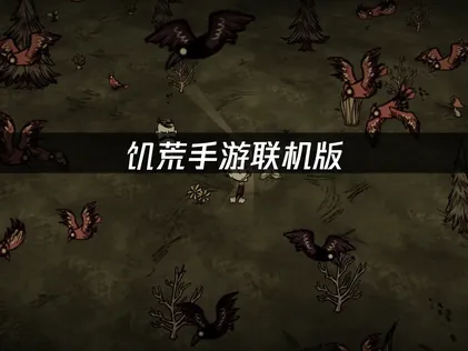 饥荒手游联机版不同网络怎么局域网联机？跨网组队完全指南！
