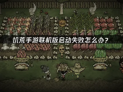 饥荒手游联机版启动失败怎么办？网络优化解决指南！