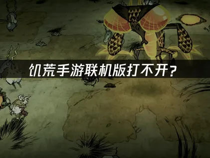饥荒手游联机版打不开？网络优化与联机故障排查指南！