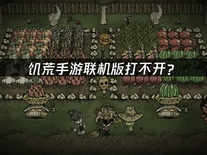 饥荒手游联机版打不开？启动卡顿与联机异常解决指南！