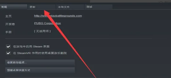 检查并更新游戏版本