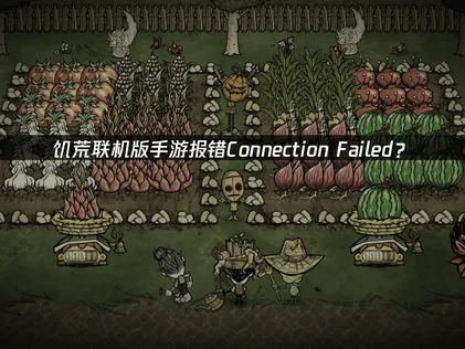 饥荒联机版手游报错Connection Failed？快速解决指南！