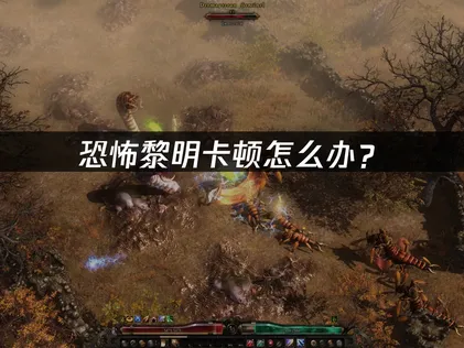 恐怖黎明卡顿怎么办？网络优化与本地调优完全指南！
