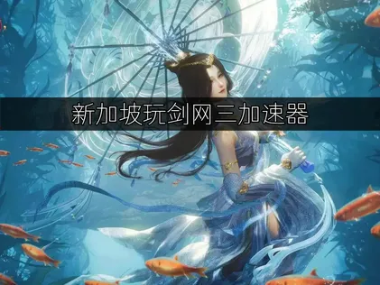 新加坡玩剑网三加速器优化方案全攻略！