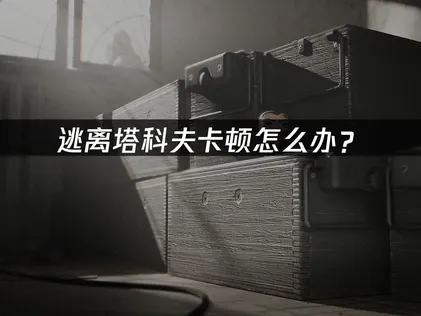 逃离塔科夫卡顿怎么办？网络优化与延迟降低指南！