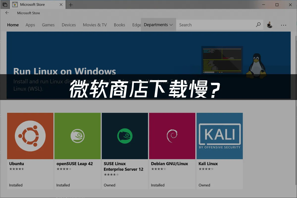 微软商店界面示意图