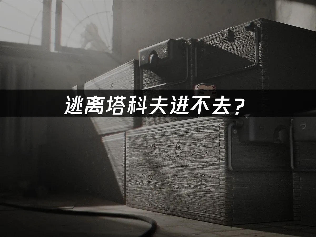逃离塔科夫游戏封面