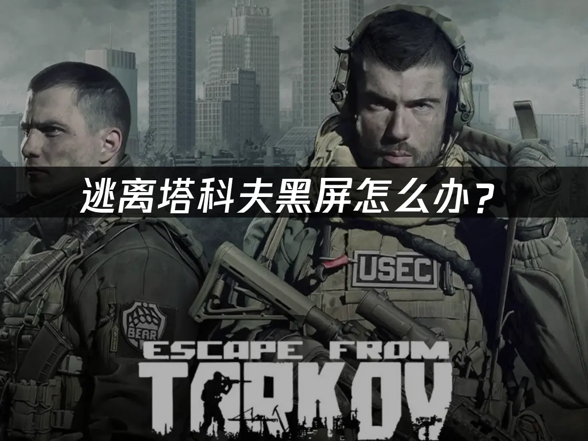 逃离塔科夫游戏封面