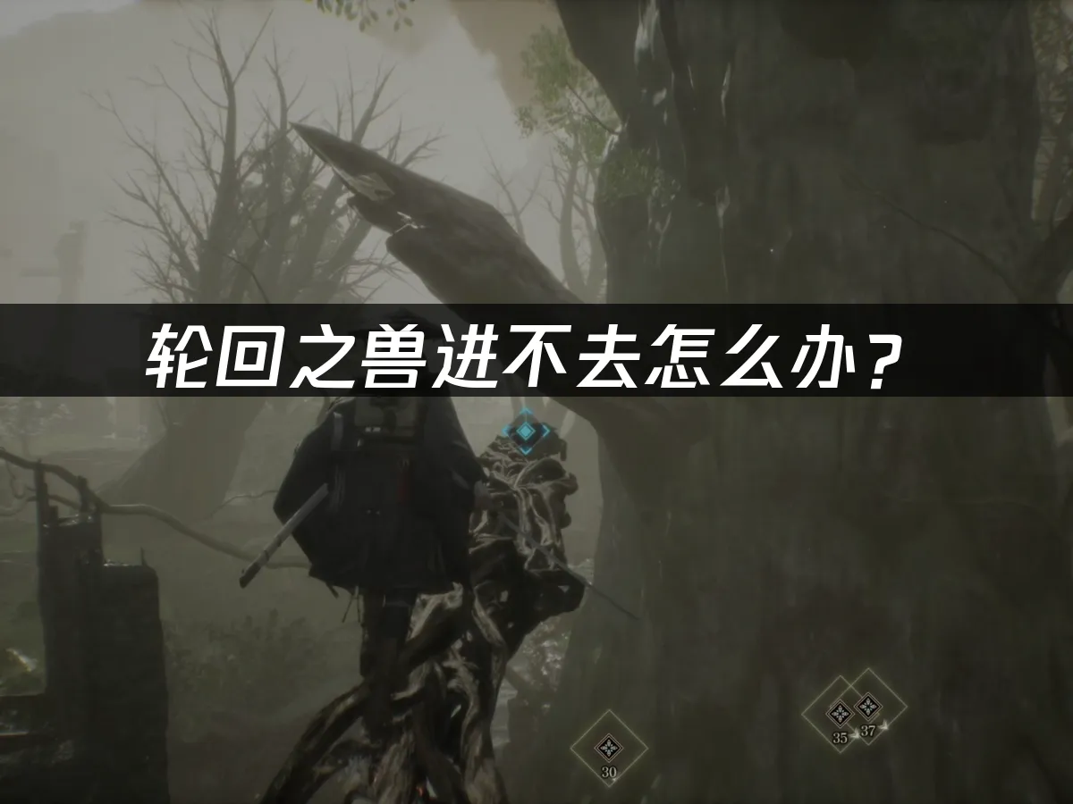 轮回之兽游戏封面