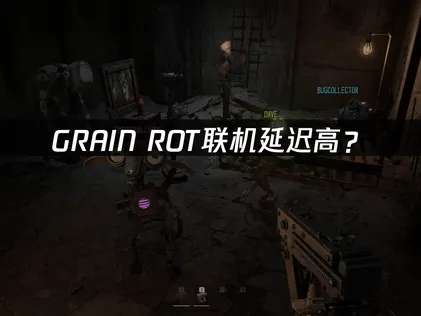 GRAIN ROT联机延迟高？完整解决指南！