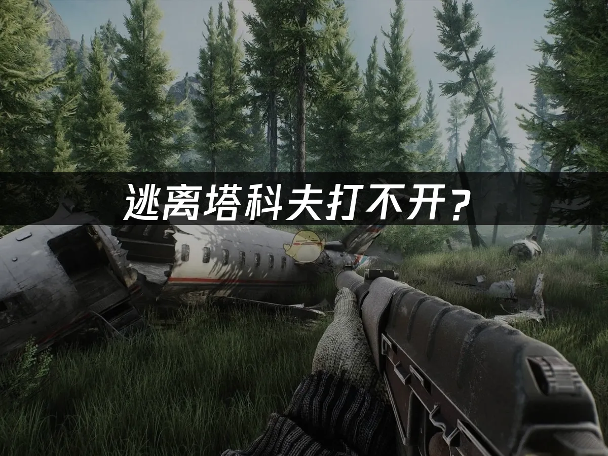 逃离塔科夫游戏封面