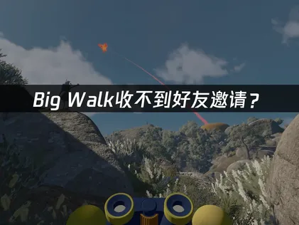 Big Walk收不到好友邀请？网络与权限设置解决指南！