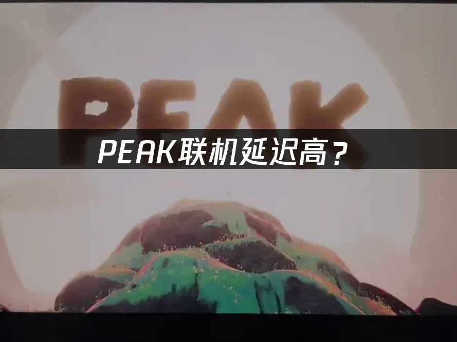 PEAK遊戲封面展示