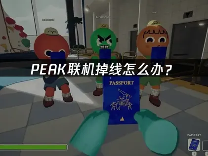 PEAK联机掉线怎么办？网络优化解决方案全攻略！