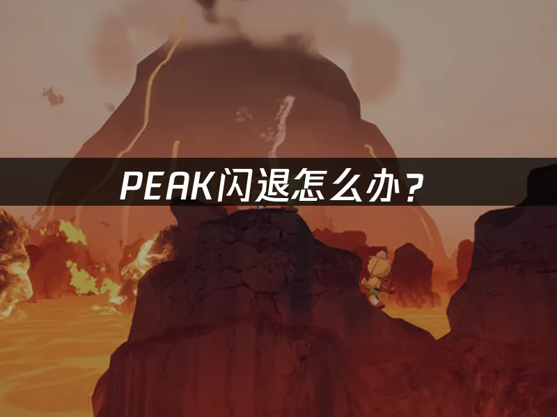 PEAK游戏封面