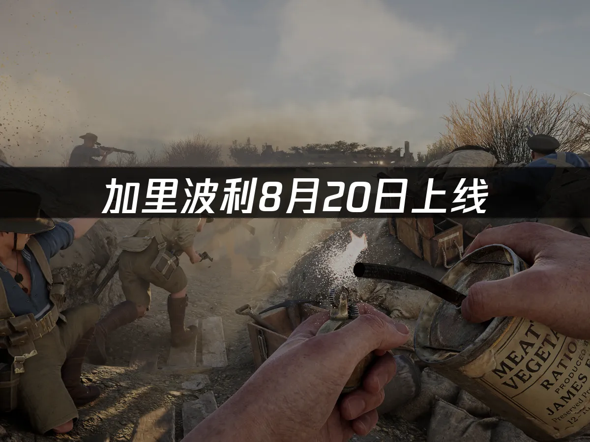 加里波利游戏封面