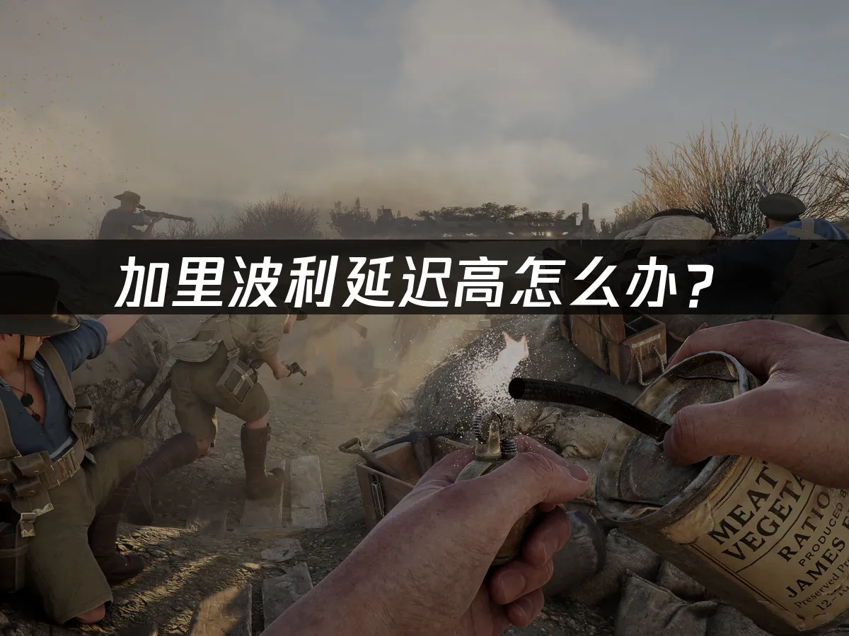 加里波利战争题材封面