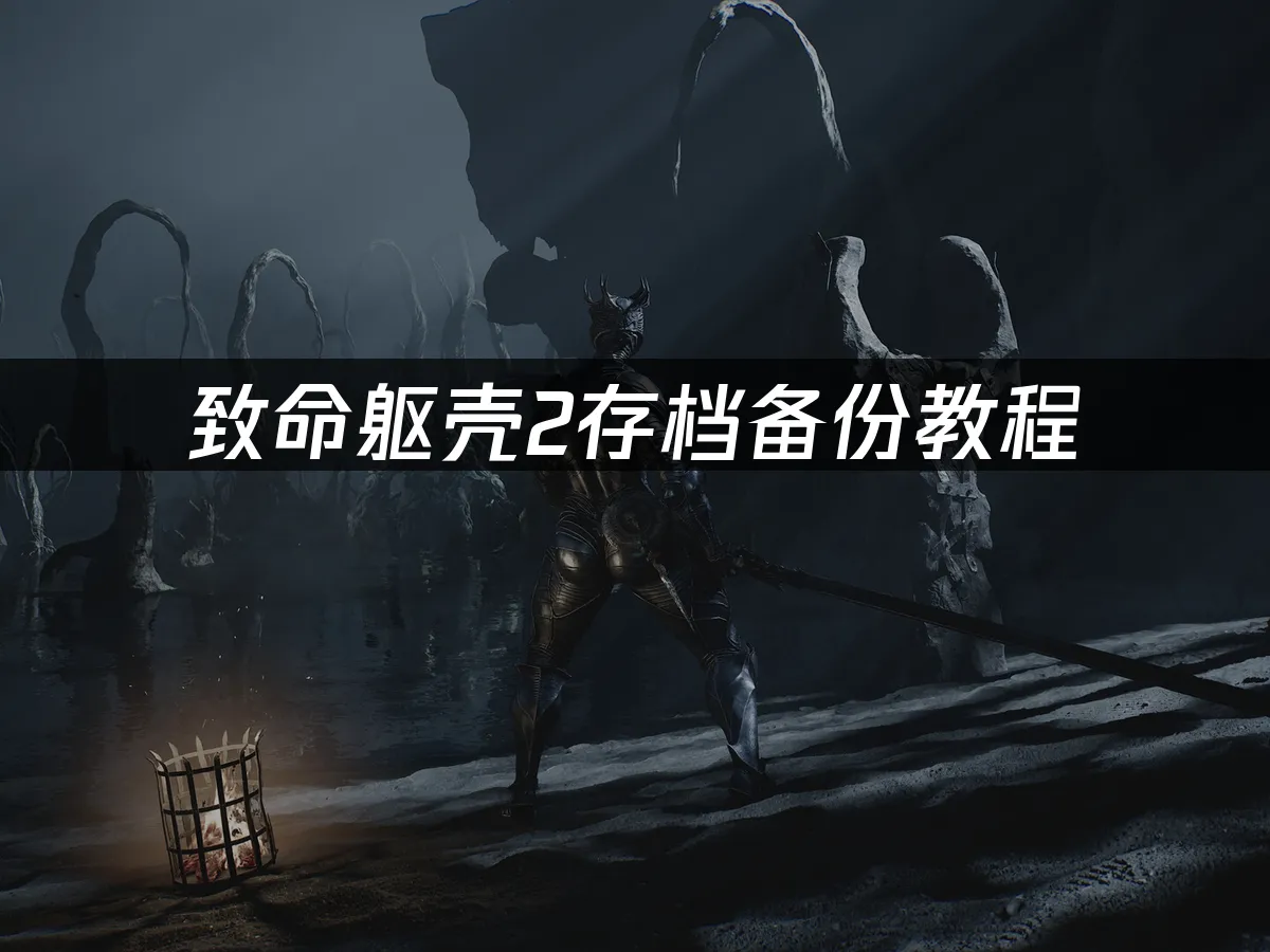 致命躯壳2 游戏封面