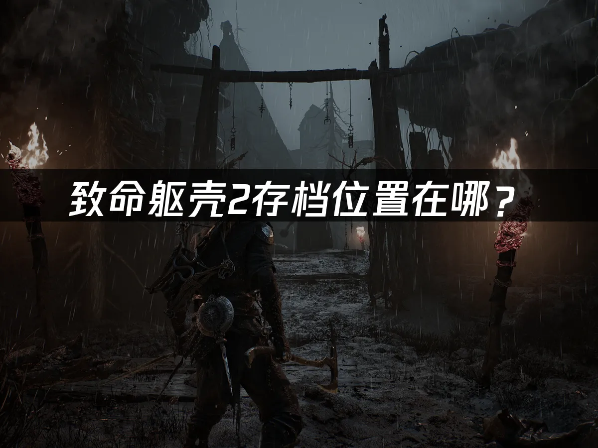 致命躯壳2游戏封面