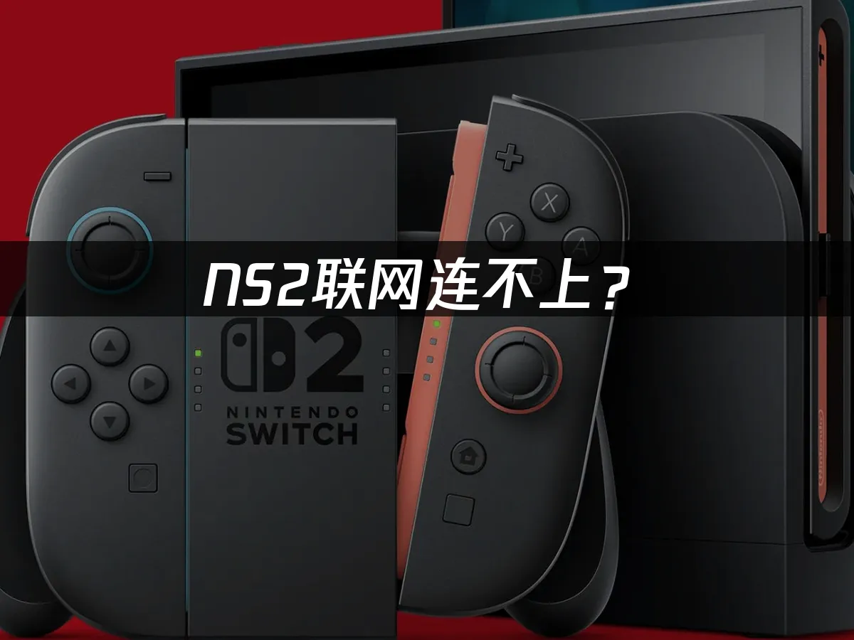 NS2主机外观展示