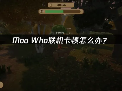 Moo Who联机卡顿怎么办？原因分析与网络优化指南！