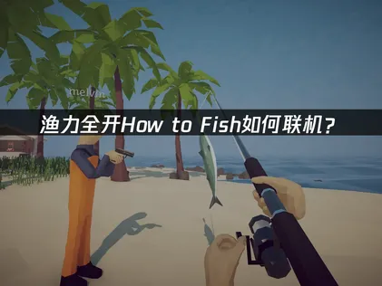 渔力全开How to Fish如何联机？异地组网解决方案！