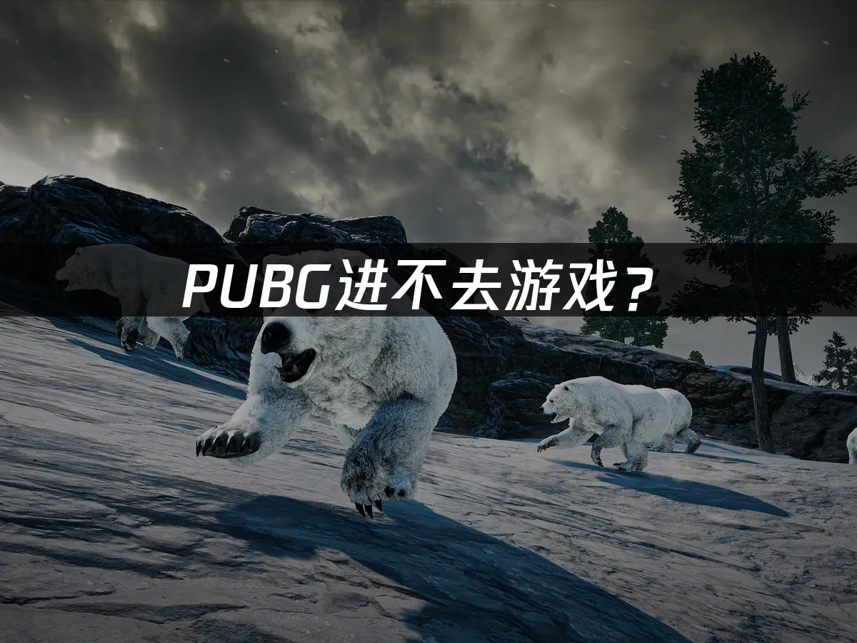 PUBG游戏封面