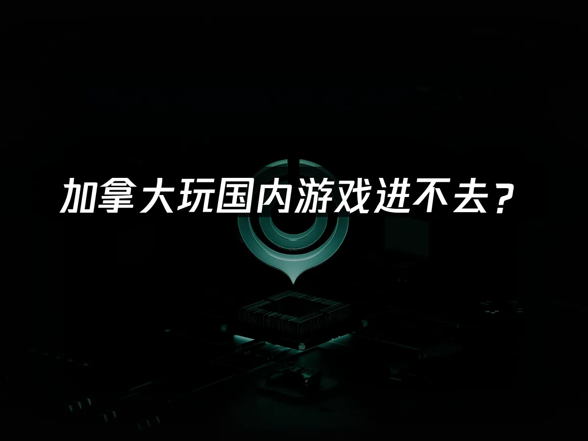 海外华人玩国服加速器封面