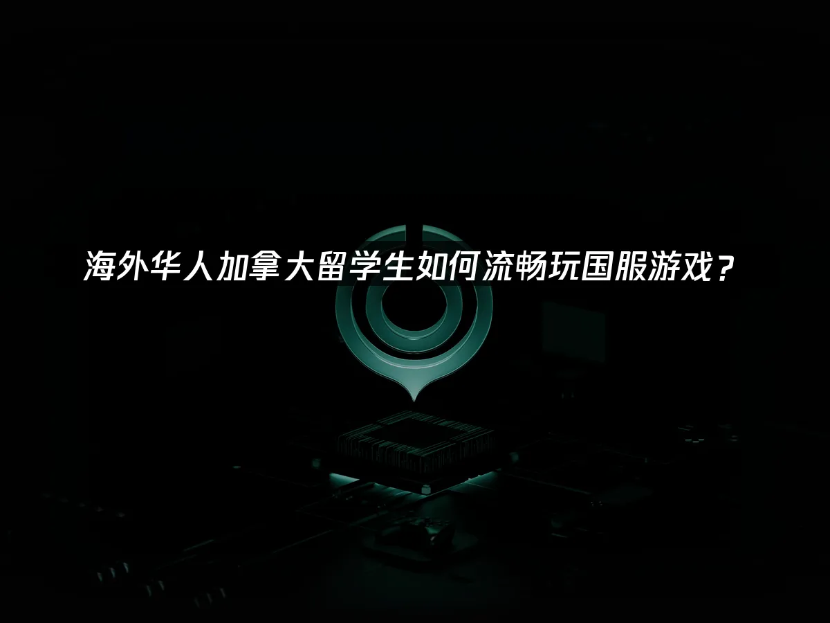 海外华人加速器封面图
