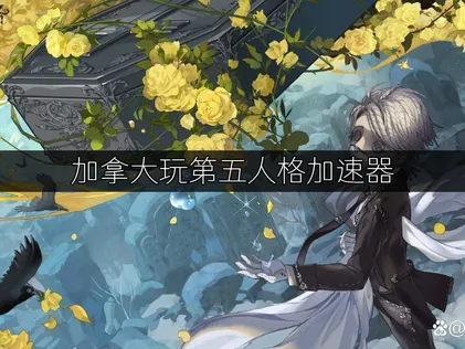 加拿大玩第五人格加速器網絡優化方法！