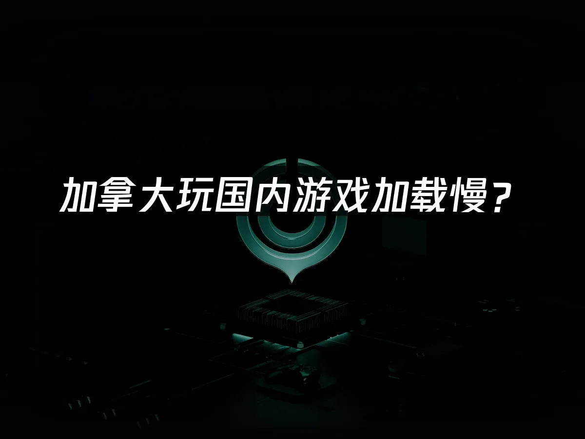 海外华人加速器封面图