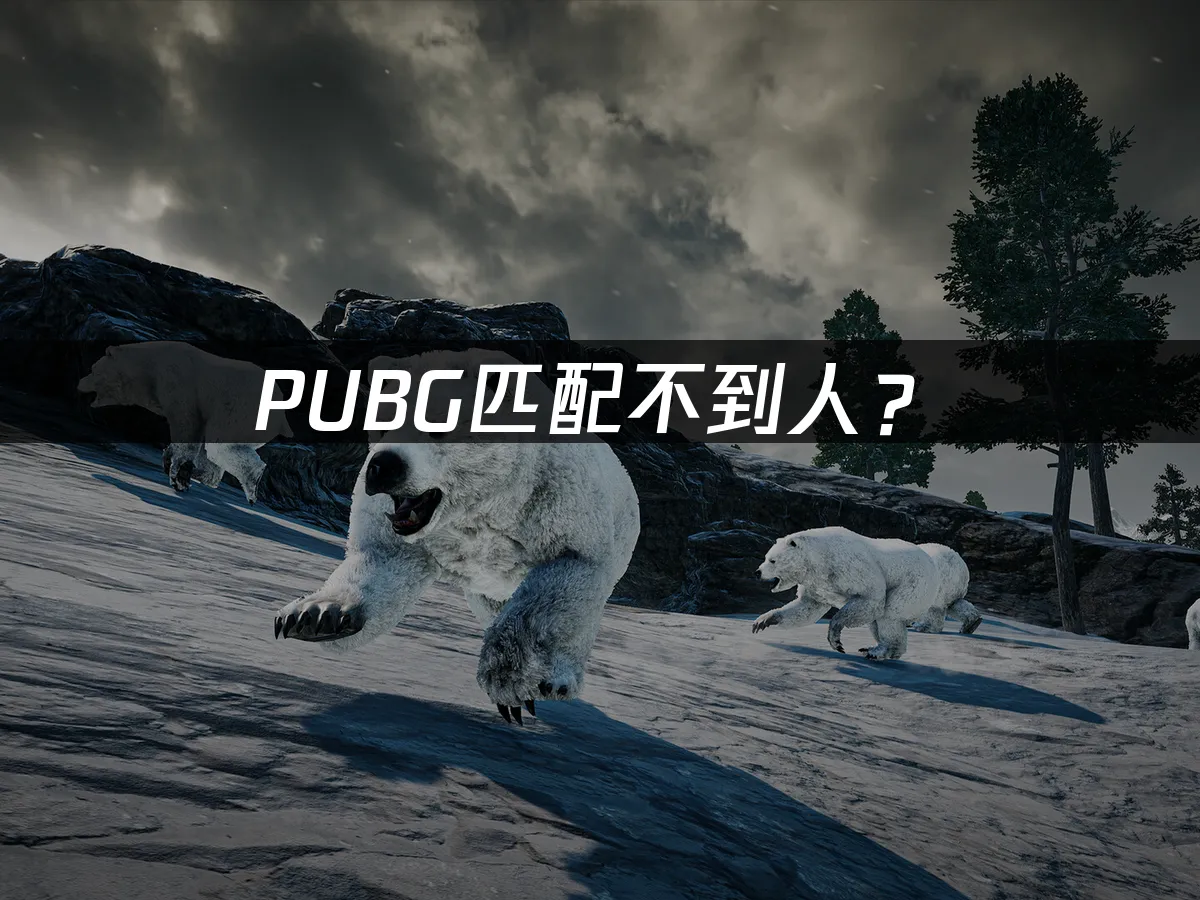 PUBG游戏封面