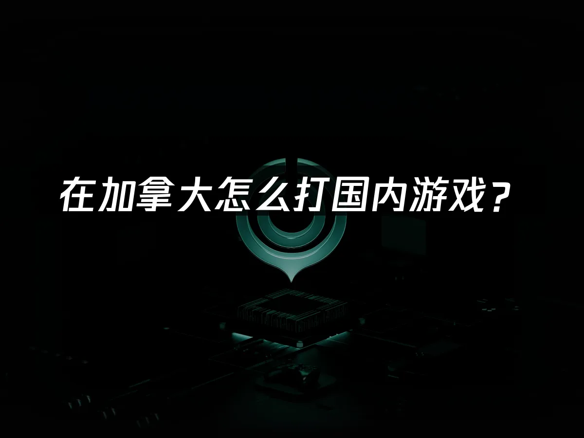 海外华人加速器封面