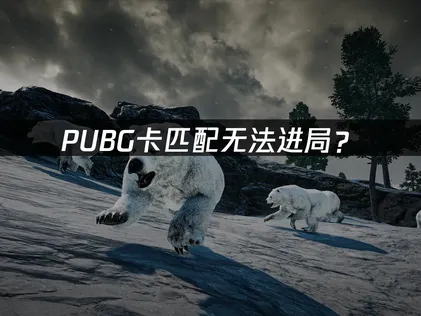 PUBG卡匹配？网络优化与解决指南！