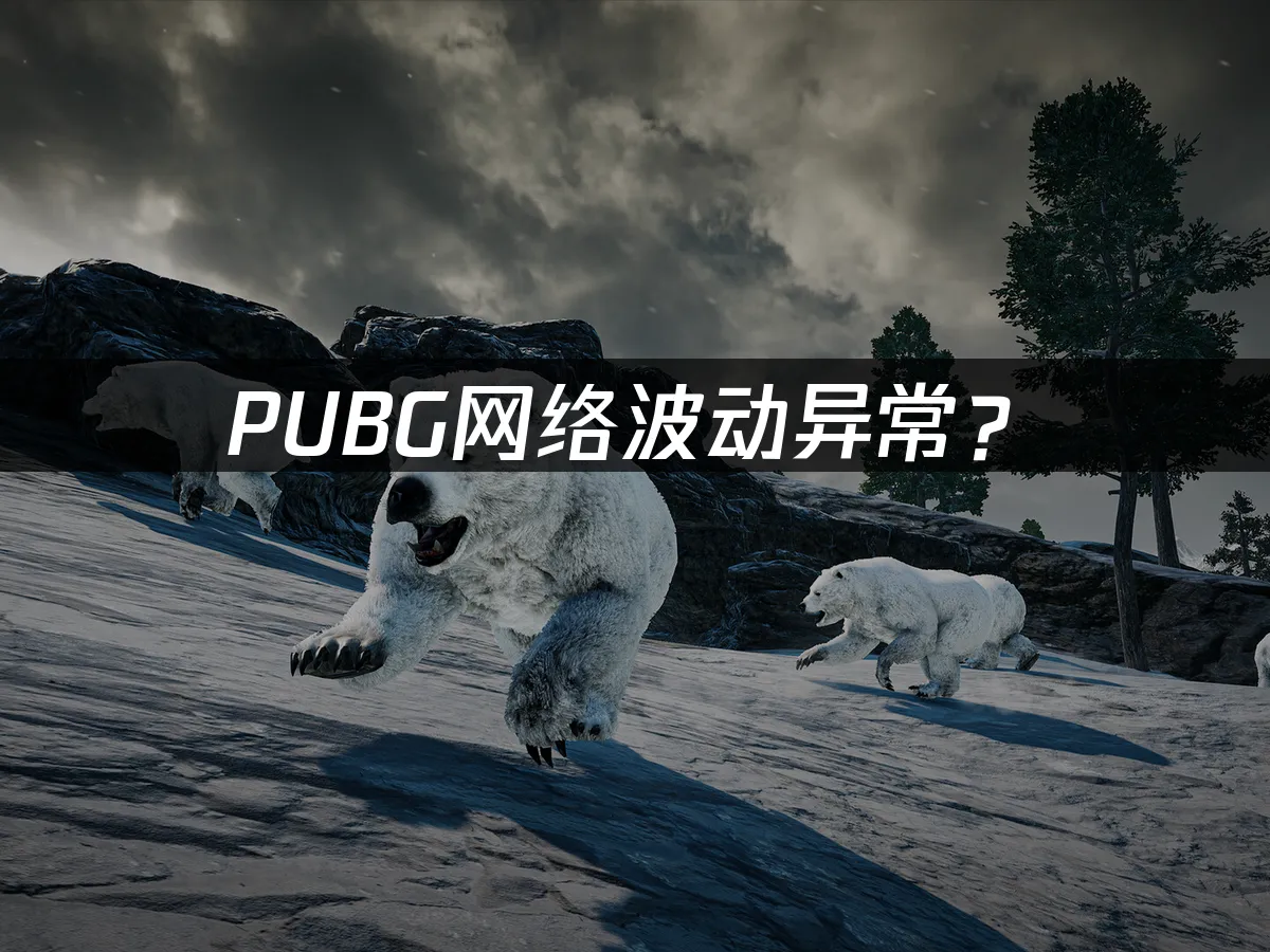 PUBG游戏封面