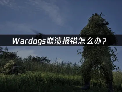 Wardogs崩溃报错怎么办？网络优化与稳定性解决指南！
