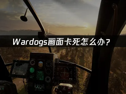 Wardogs画面卡死怎么办？网络优化与硬件调试指南！