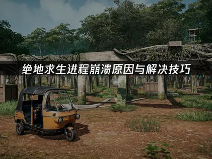 绝地求生进程崩溃原因与解决技巧！