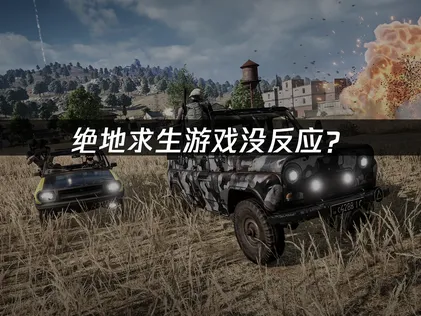 绝地求生游戏没反应？系统配置与网络优化解决指南！