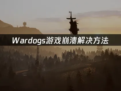 Wardogs游戏崩溃原因与解决技巧！