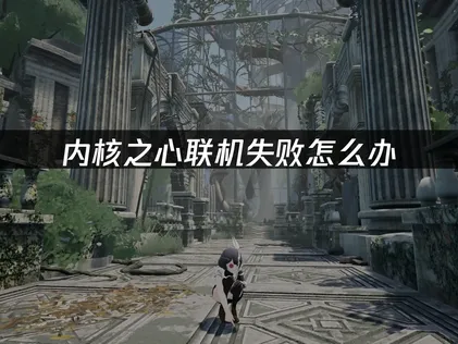 内核之心联机失败怎么办？最新优化教程！