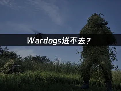 Wardogs进不去？网络优化解决指南！